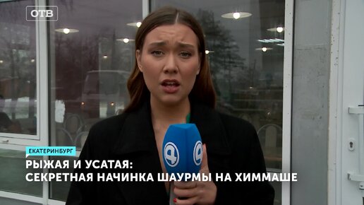 Опасная шаурма: Скандал в Екатеринбурге из-за грязных кухонь и тараканов!