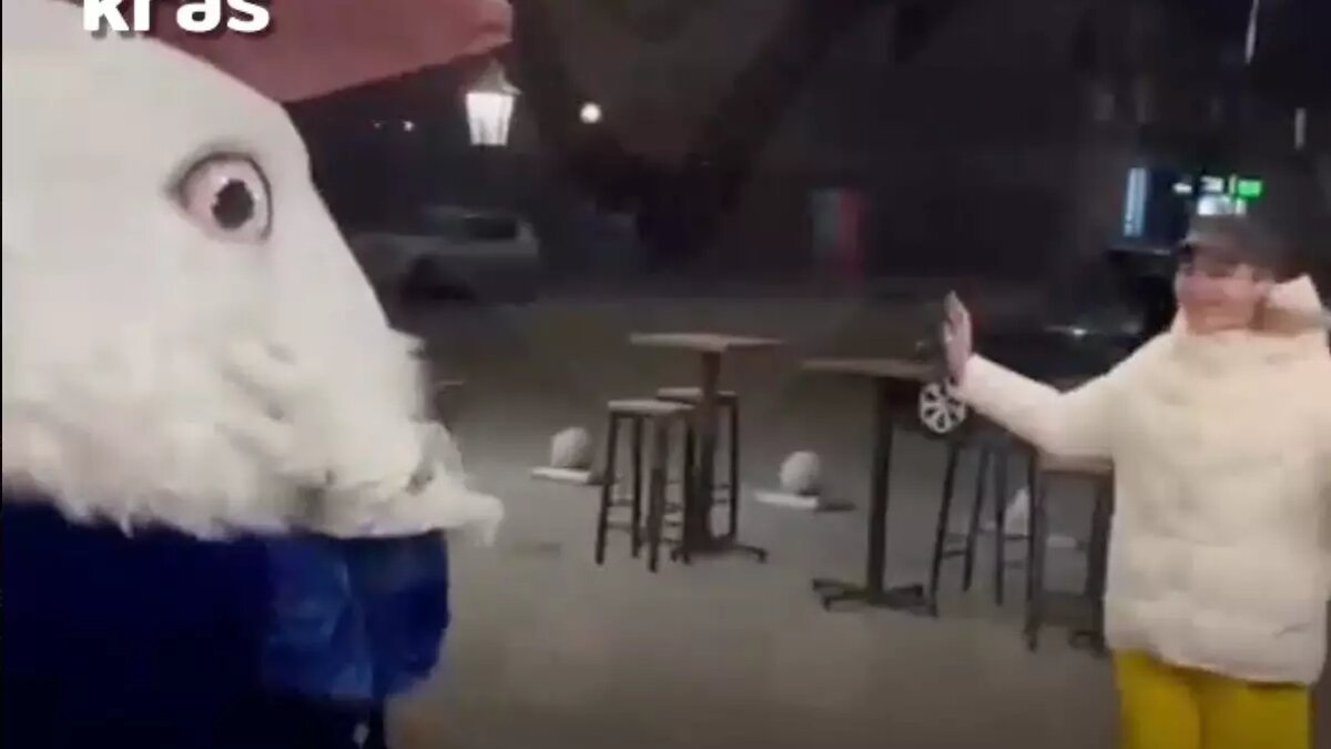     В Красноярске пьяный мужчина ударил девушку в костюме белого кролика из «Алисы в стране чудес». Аниматор не осталась в стороне и ударила его несколько раз в ответ.