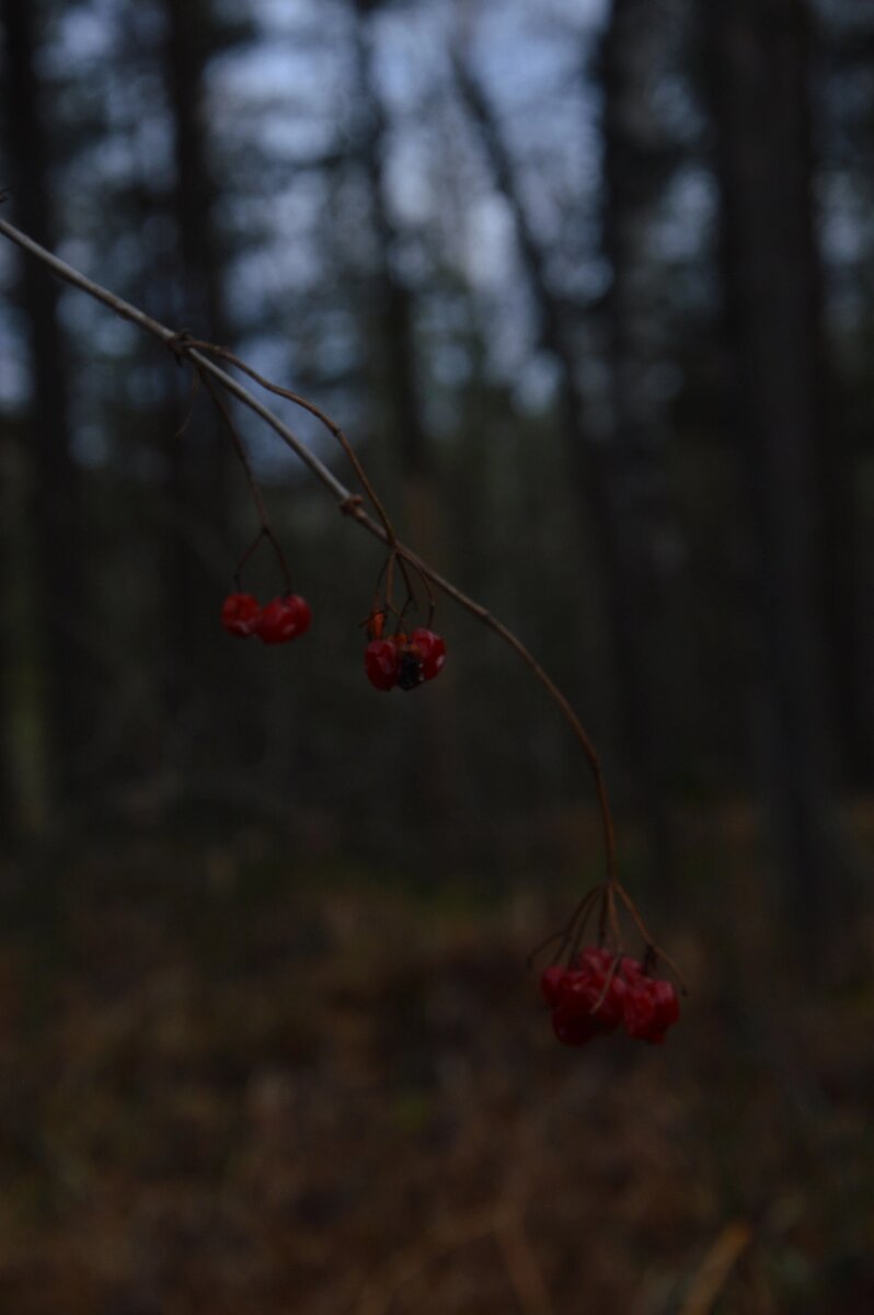 Фото 📷 автора