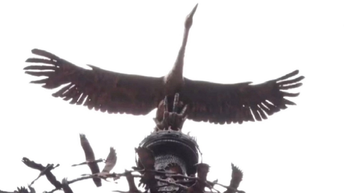 Владимир Сосницкий/ zvezdaweekly.ru