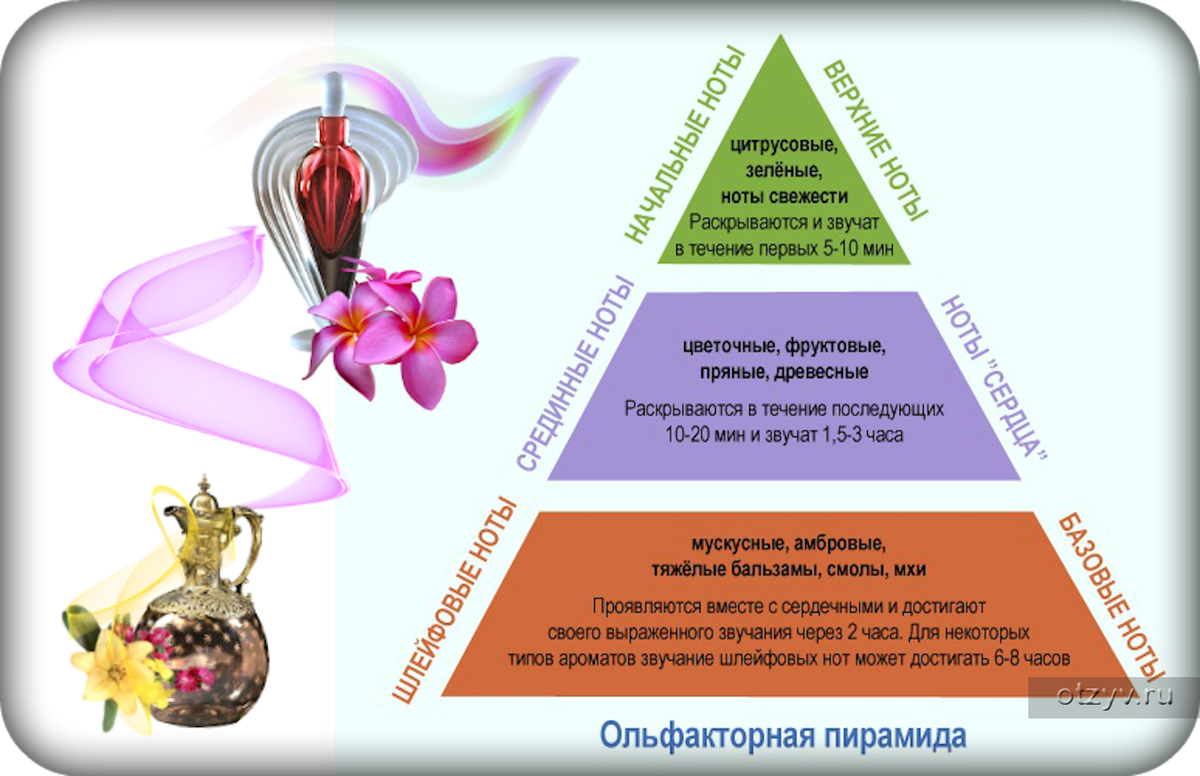 Ароматы запахи флюиды проект по химии