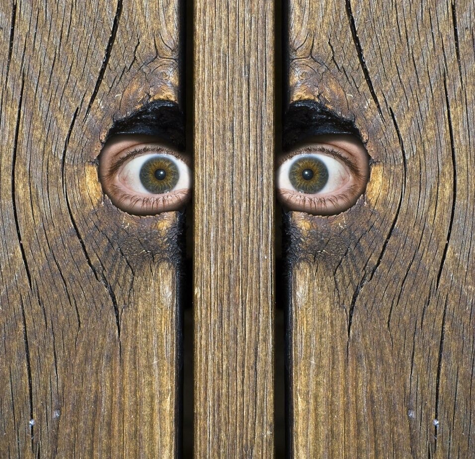 Фото взято из открытых источников