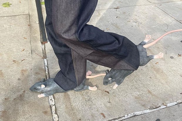 Смотрите, какие красавцы? 