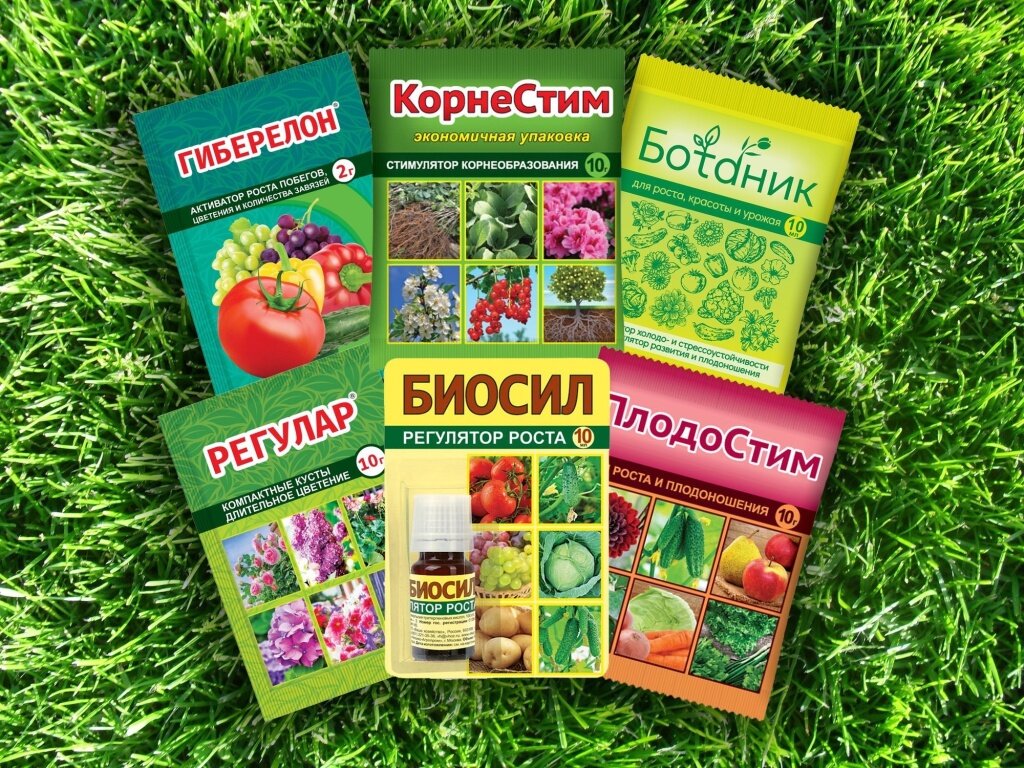 Стимуляторы и регуляторы роста растений. Как влиять на рост и ...