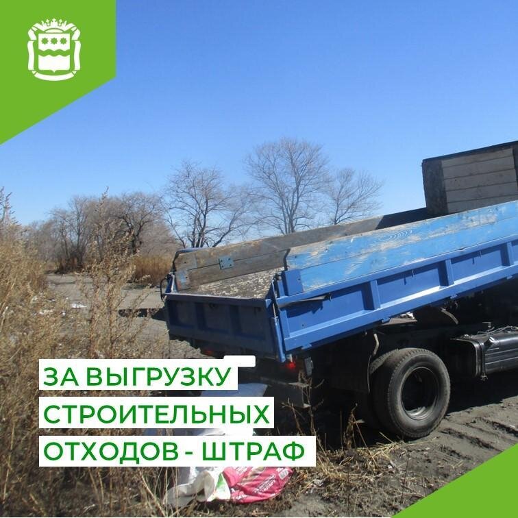    Фото: министерство природных ресурсов Амурской области