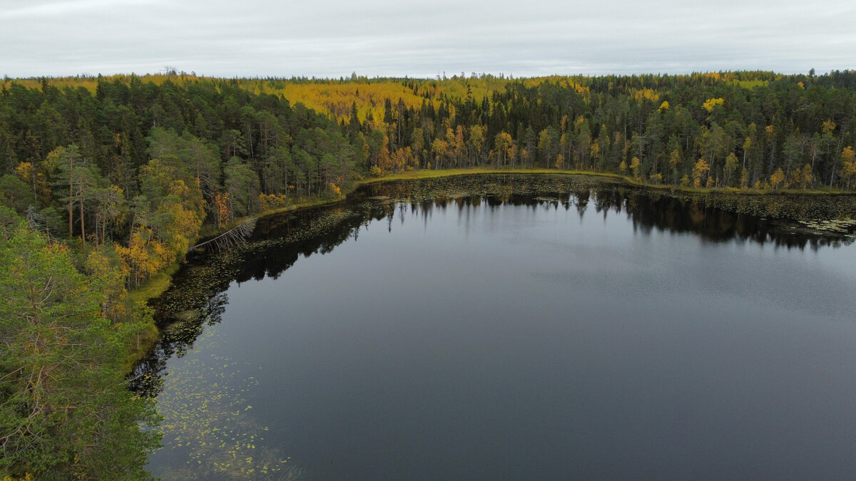 Просто фото. Фото автора.