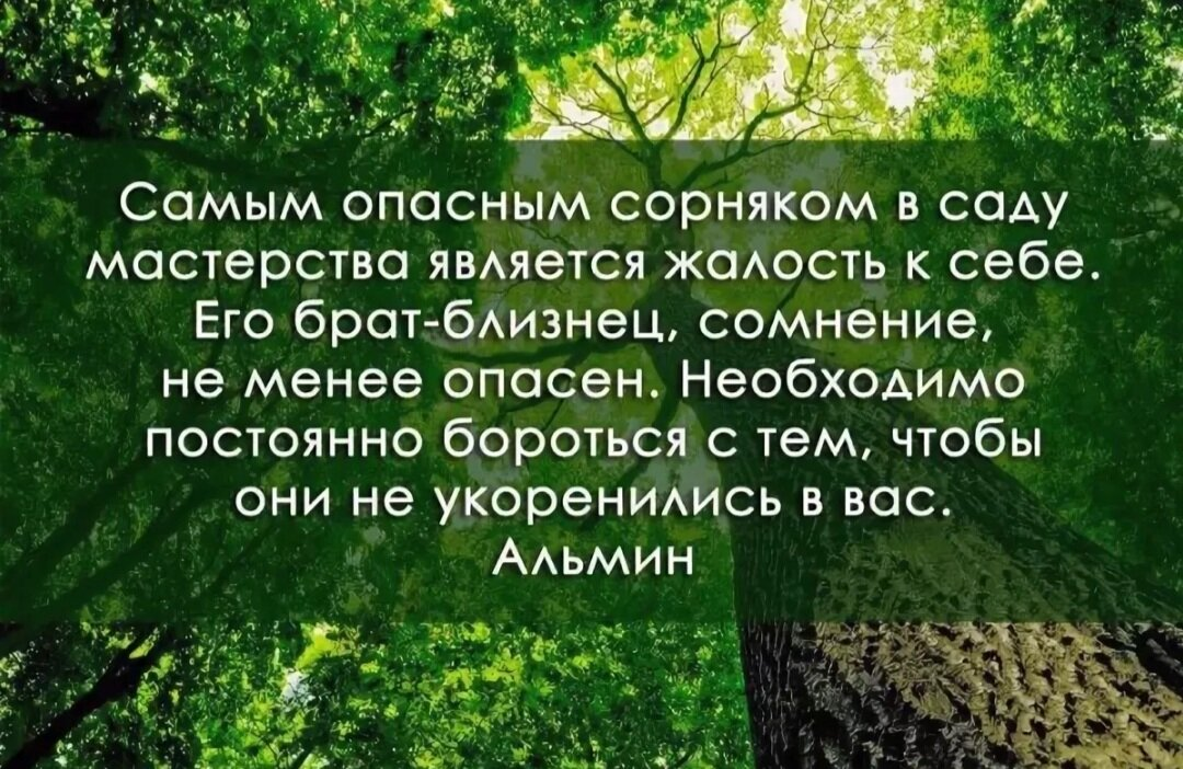 Смысл жалеть