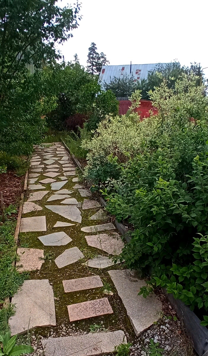 Сад моей подруги на Урале 