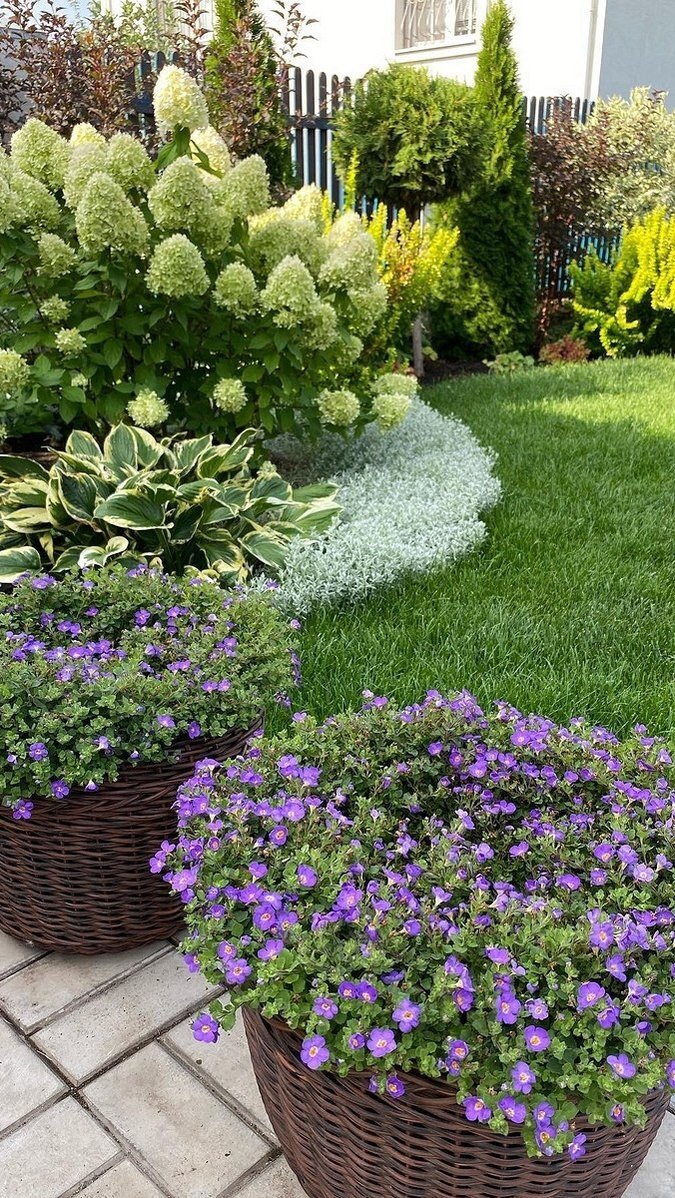 Фото открытых источников