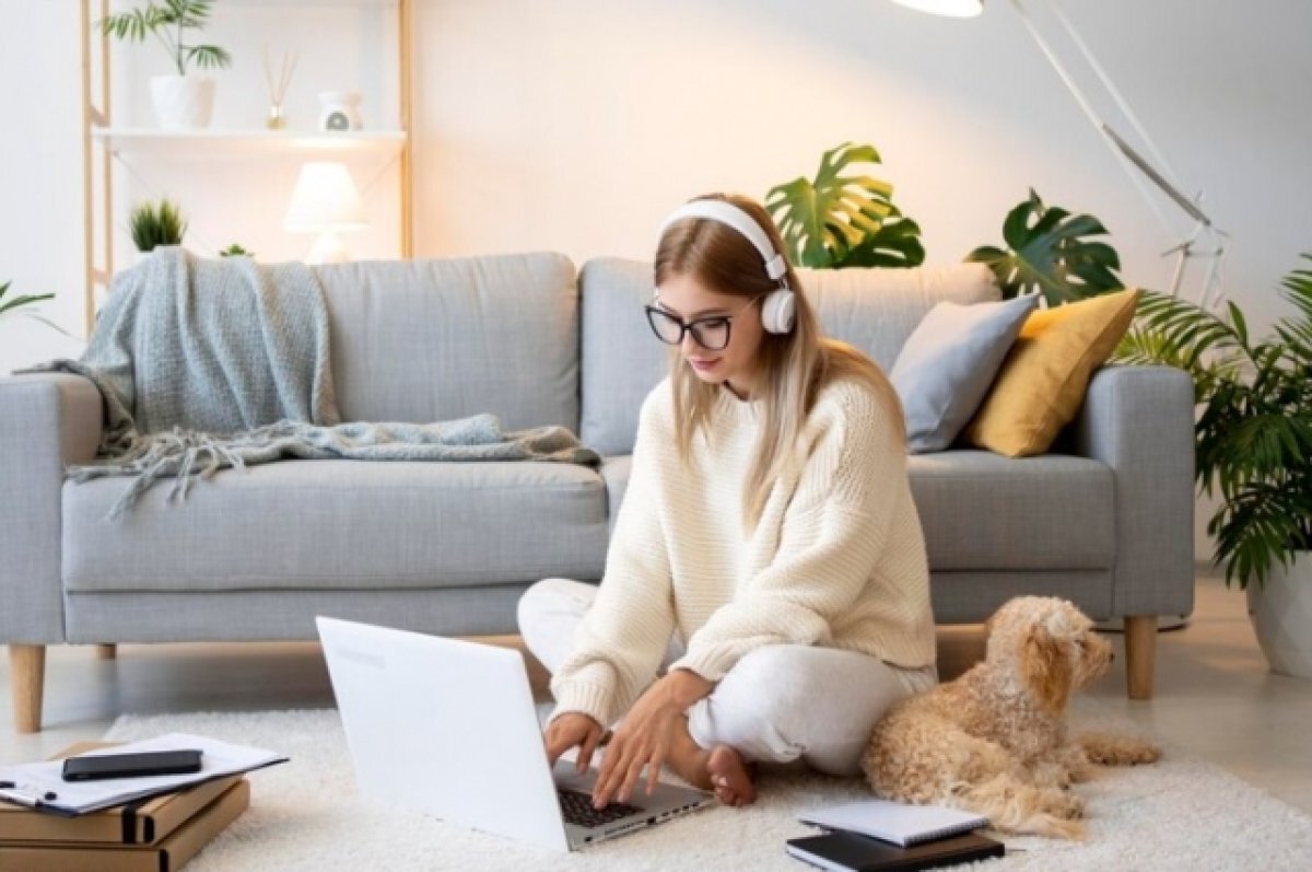    27 ноября в Краснодарском крае отметят День самозанятых