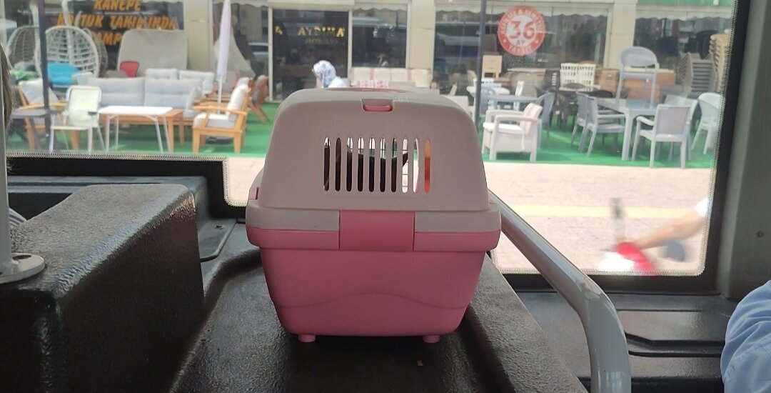 Едем на осмотр в турецком автобусе