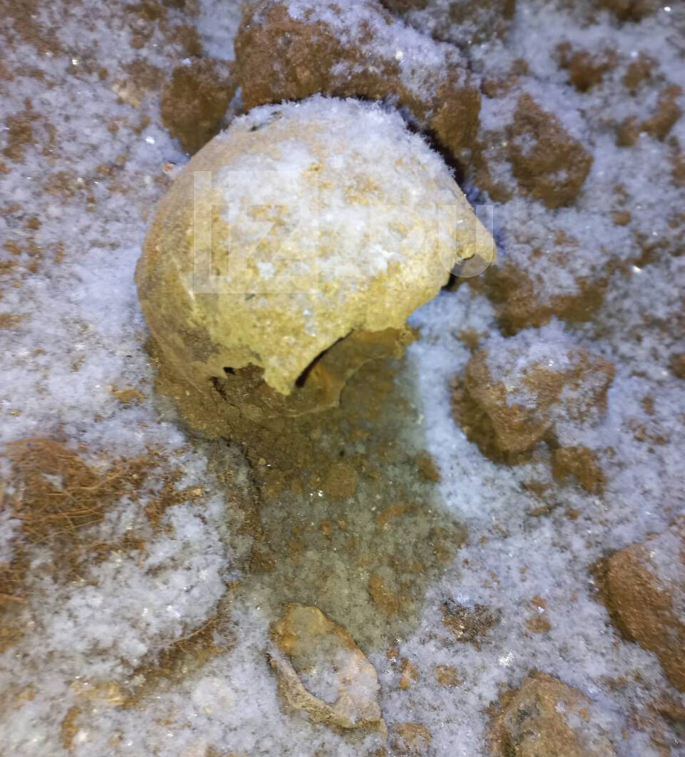 Фото: ИЗВЕСТИЯ