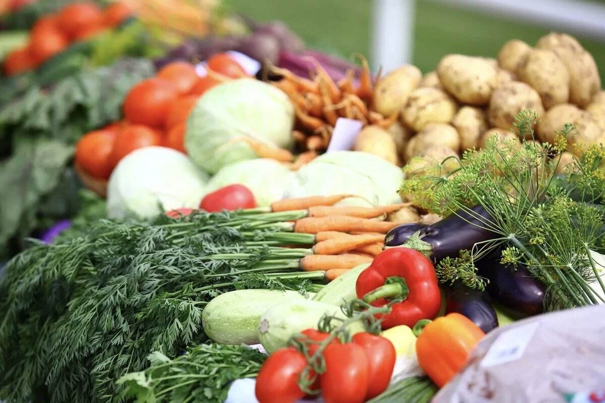 Село продукт. Овощи открытого грунта. Сельскохозяйственные продукты. Овощеводство. Овощеводство открытого грунта.