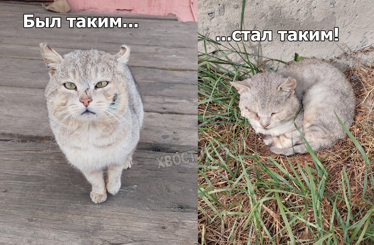 Симптомы, свидетельствующие о проблеме