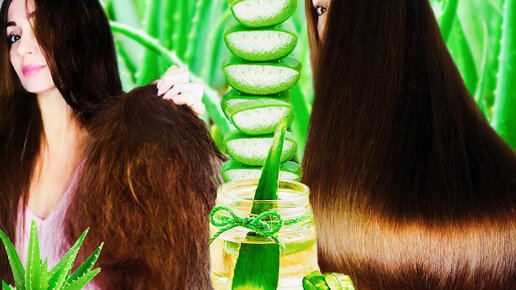 Чудо средство для убитых волос. Маска, которая восстановит твои волосы и придаст блеск. Здоровые, блестящие и красивые волосы.