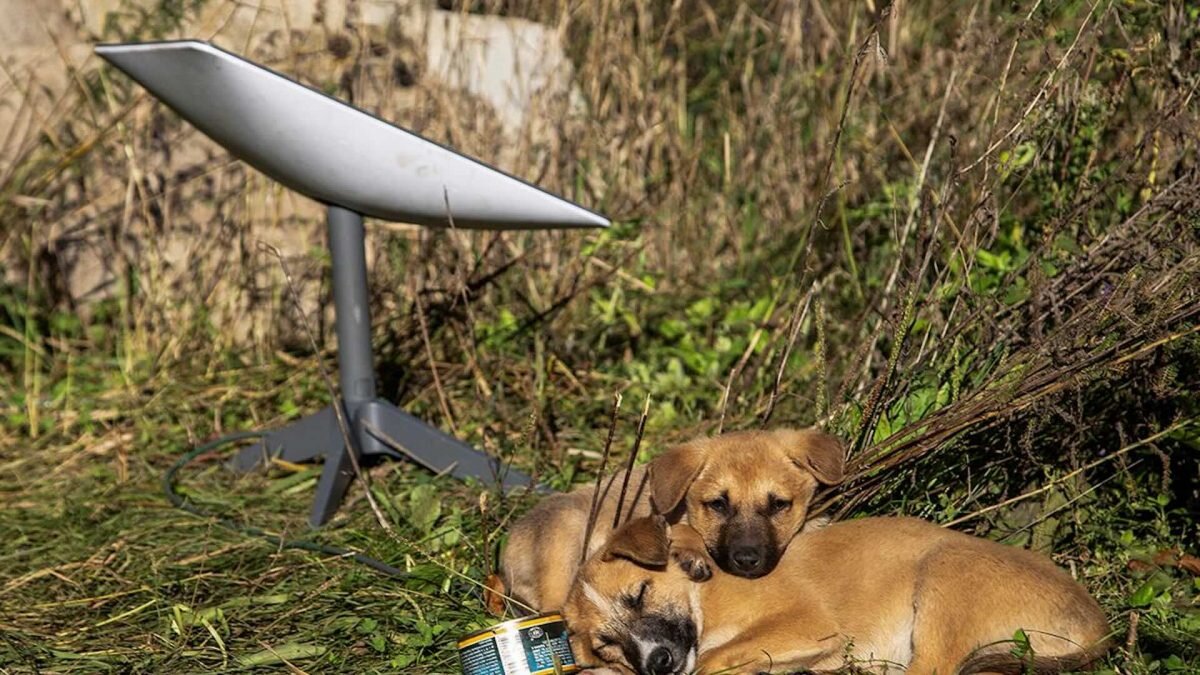    Фото: Александр Ратушняк / Reuters Рашид Ахмежанов