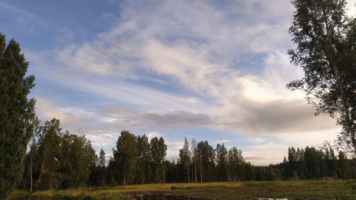 © MAKSIM KONSTANTINOV/GLOBALLOOKPRESS