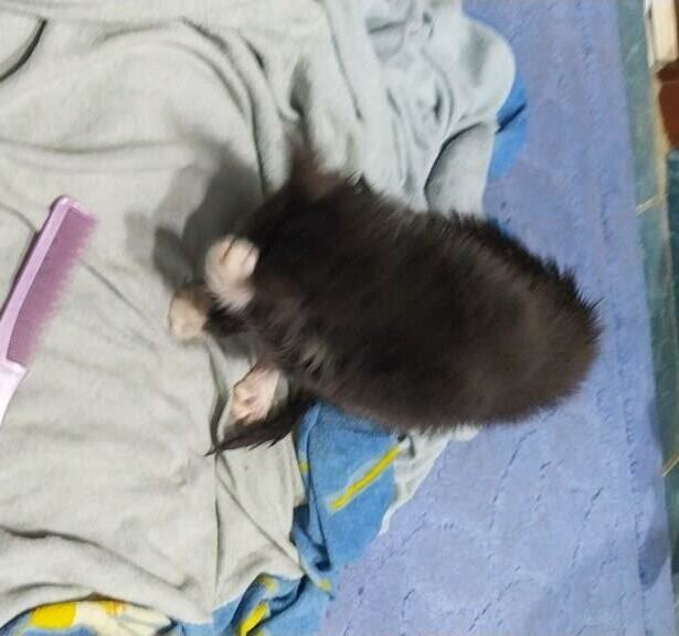 Вместо полотенца можно использовать махровую простынку.