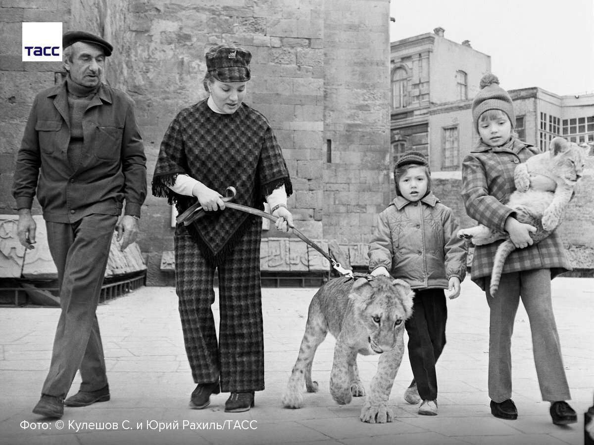 Семья Берберовых