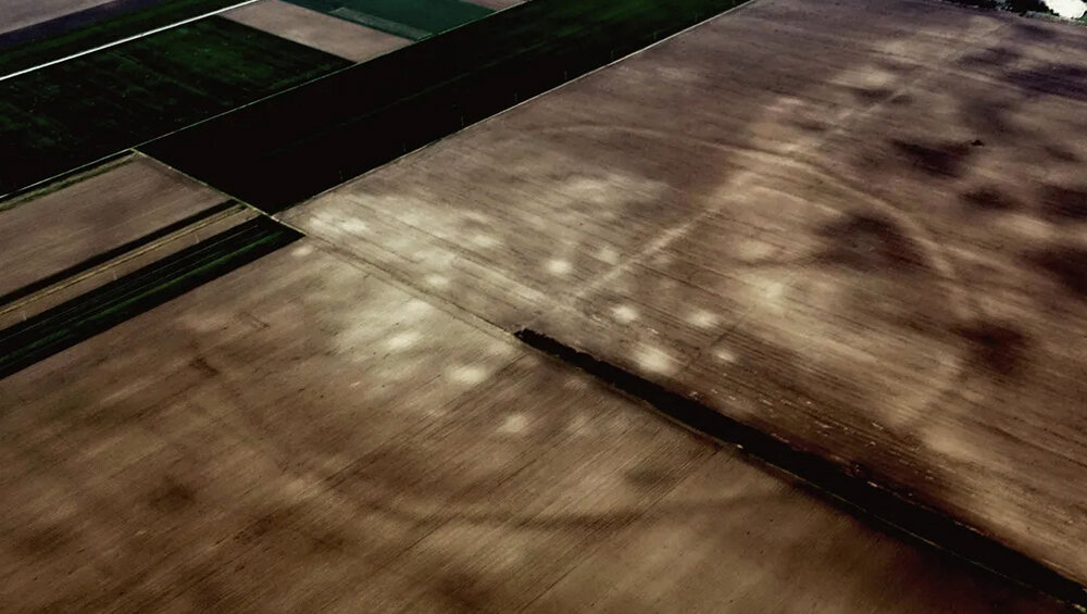    Фото: Professor Barry Molloy, University College Dublin