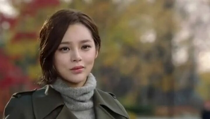 Дже Хи - девушка из бедной семьи, впридачу с братом негодяем, хотя как знать ?! Брат , конечно, негодяй , но похоже и у неё была гнилая душонка.