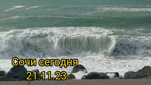 Путевки в сочи в ноябре 2024. Пляж Фламинго в Лазаревском. Лазаревское пляж Фламинго 2022. Лазаревское в феврале.