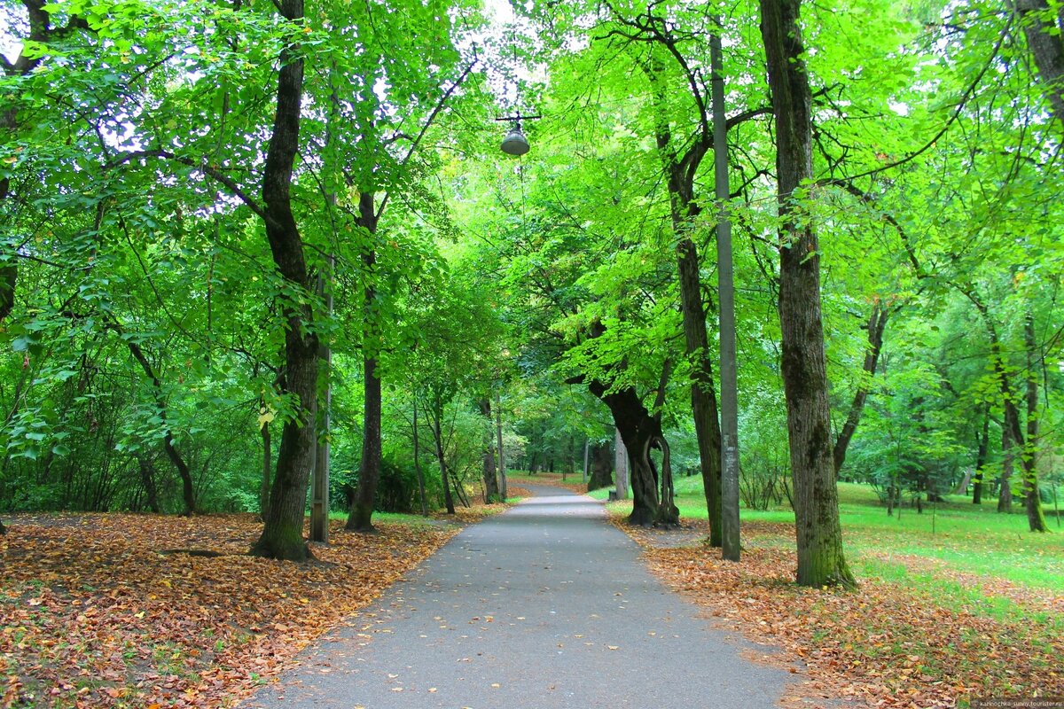 Изображение из открытых источников Яндекса