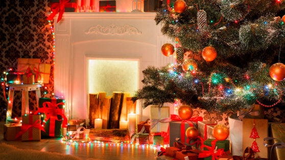    Дизайнеры назвали модные тренды-2024 в новогоднем и рождественском декоре дома Ирина Петрова