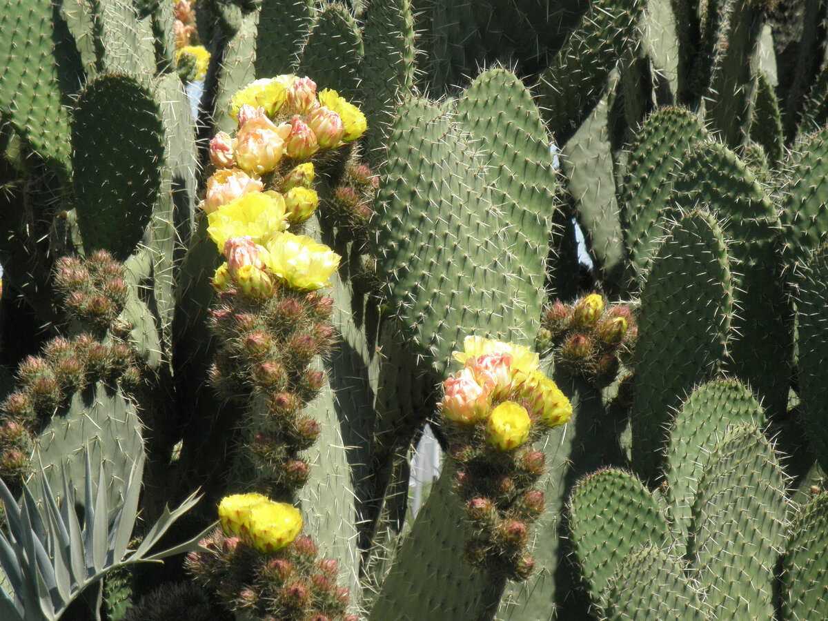 Все фотографии авторские ©AzurevaMarinaBOOKS