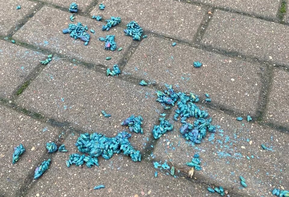 -2