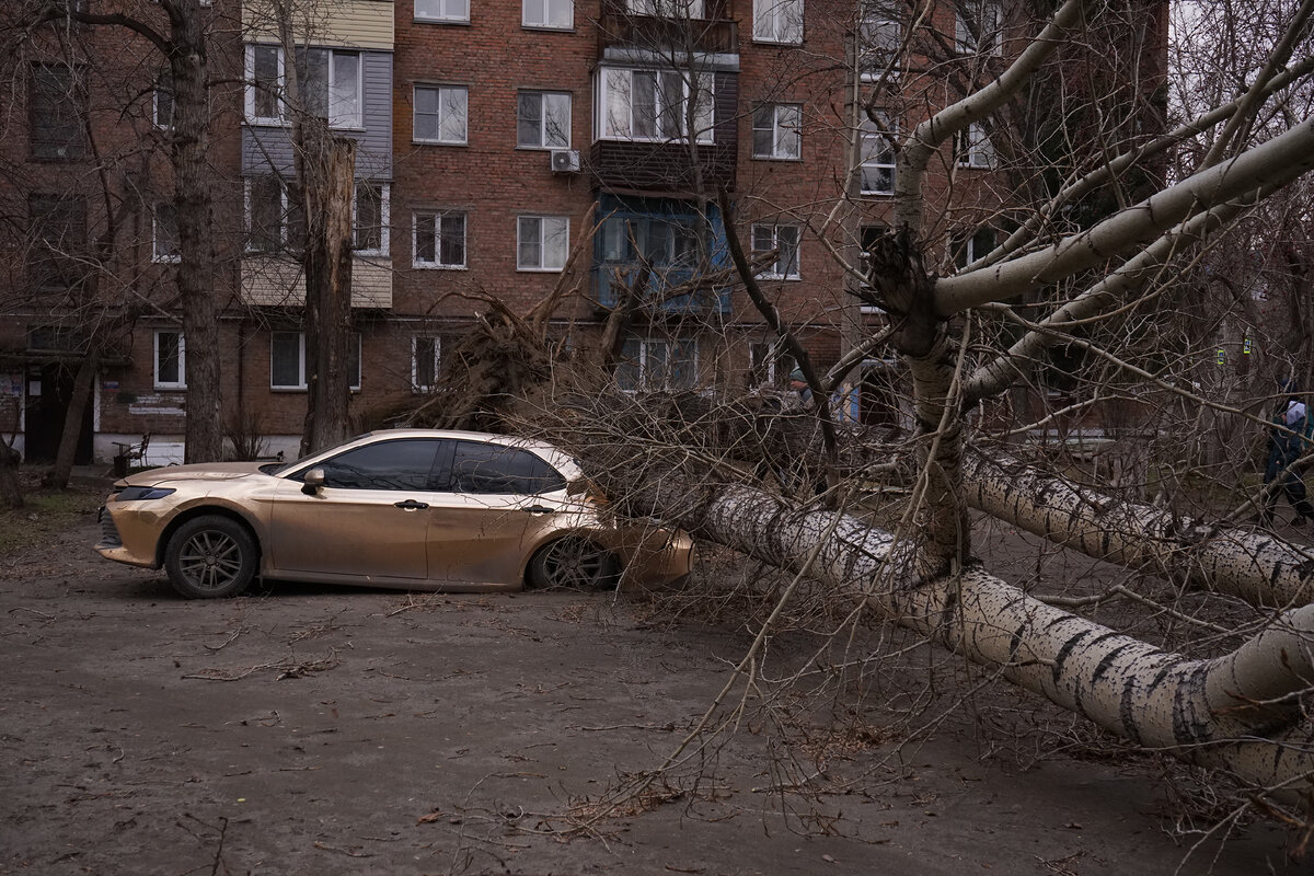 Бийск — в центре урагана | Деловой Бийск | Дзен