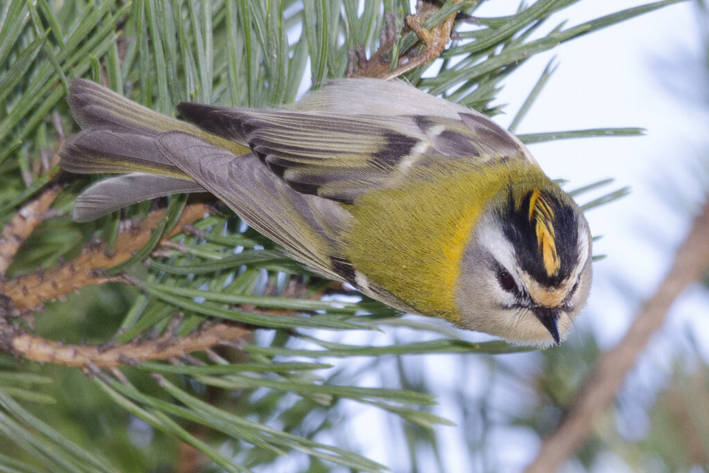 Испания, фото: Alejandro Ocampo
