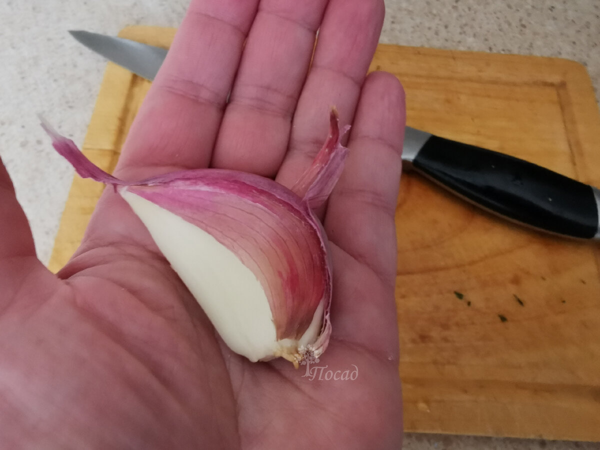 На фоне этого зубка меркнет всё: и здоровенный разделочный нож на заднем плане, и немалых размеров доска, и даже моя ладошка, способная и в горящую избу, и слона на бегу...