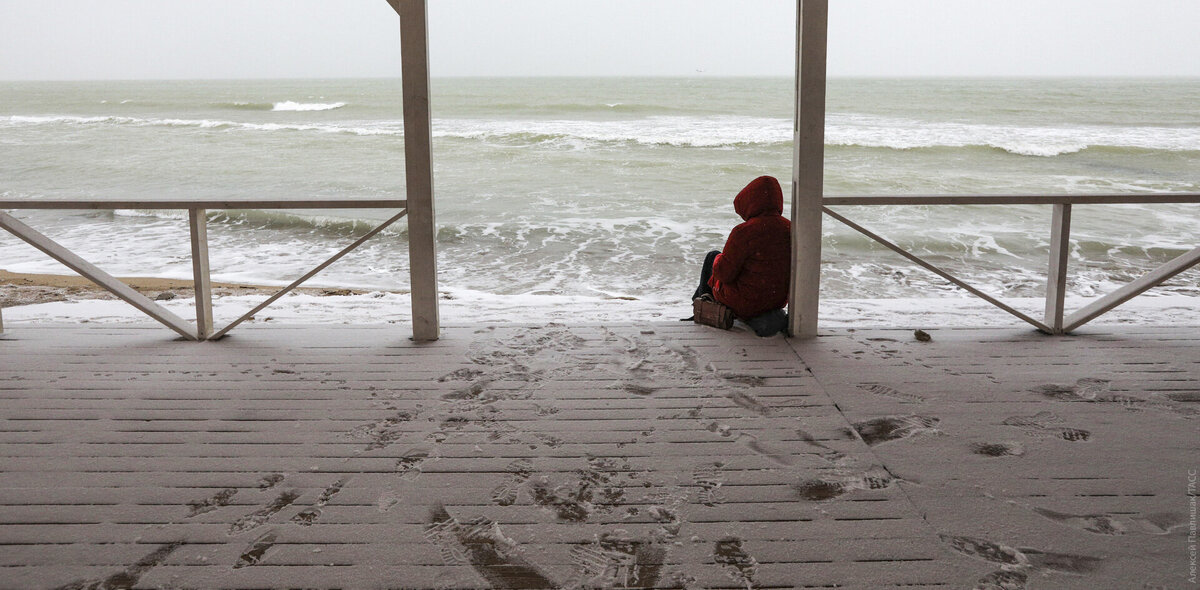 Фото: Алексей Павлишак/ТАСС