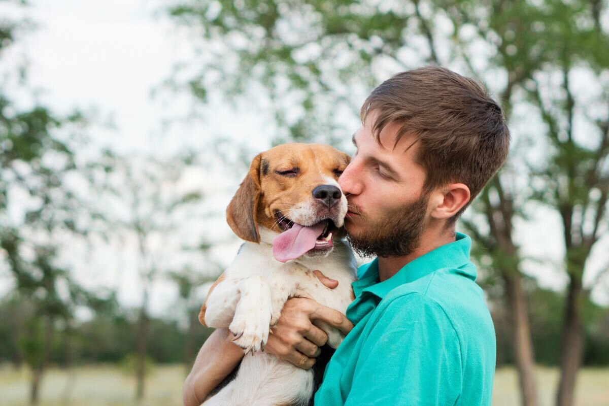 Как собаки воспринимают человека – собачий взгляд на хозяина? | Dog Breeds  | Дзен