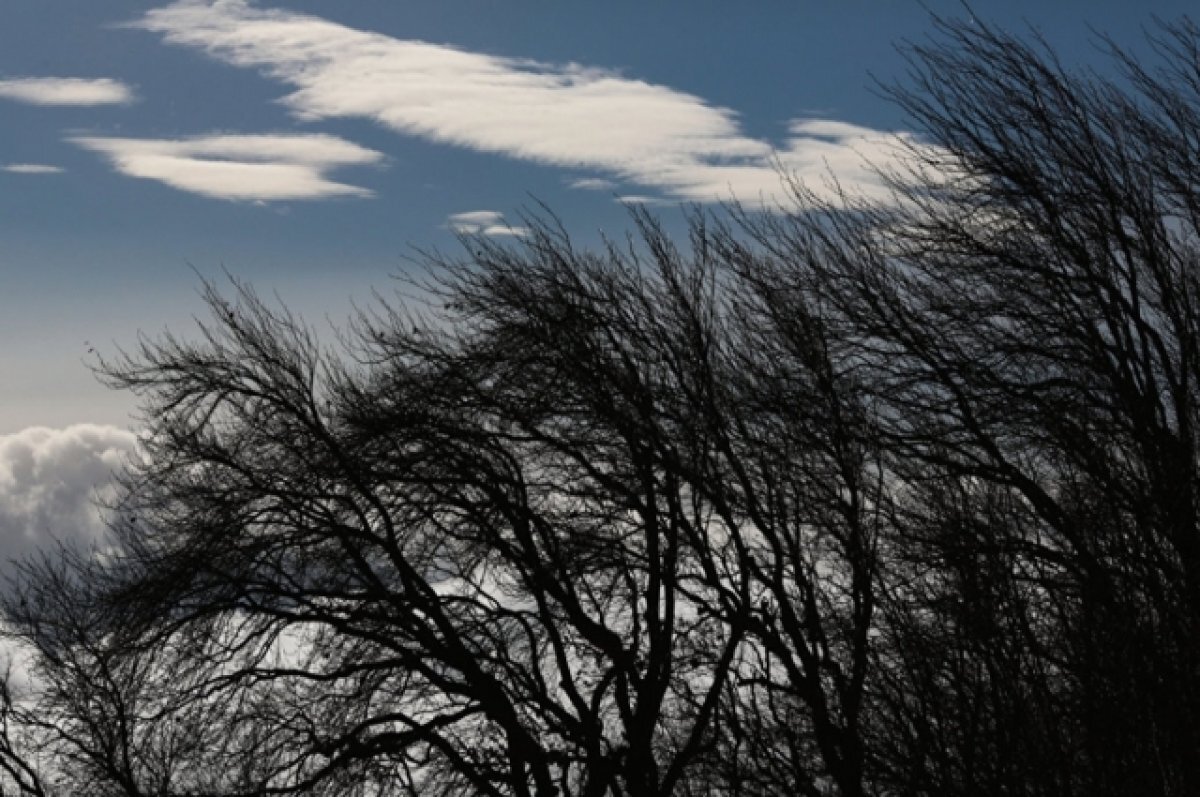    В четверг в регионе ожидается штормовой ветер до 26 м/с