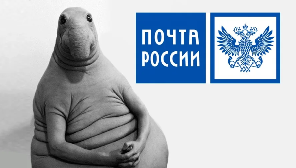 Жду восклицали