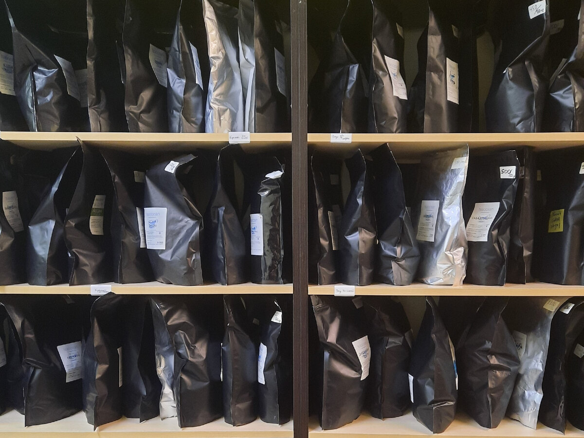 Хранение чая в Tea Ocean