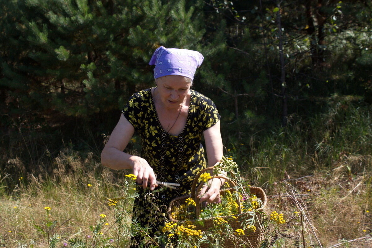 Яндекс. Картинки