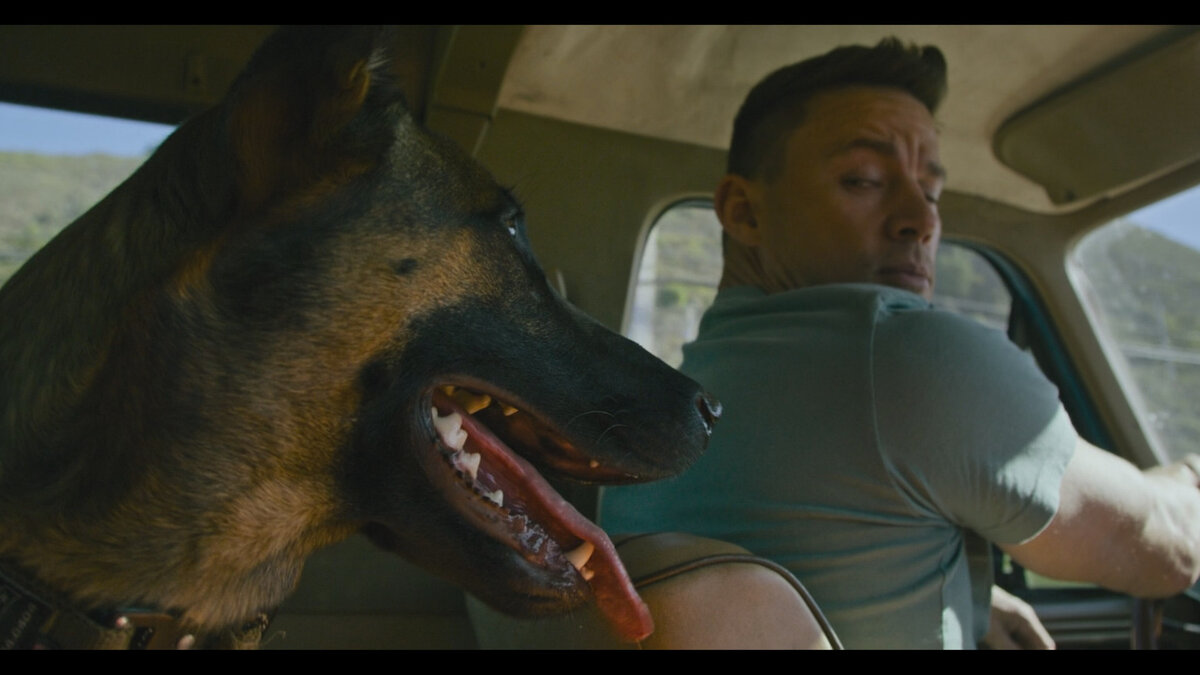 Кадр из фильма "Лулу и Бриггс" (2021)