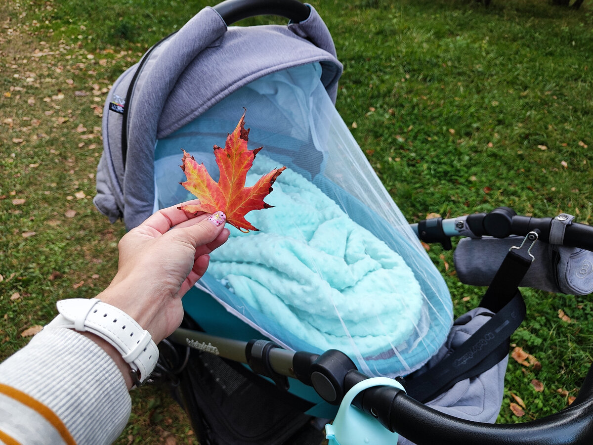 коляска для малыша. Фото автора. ноябрь 2023