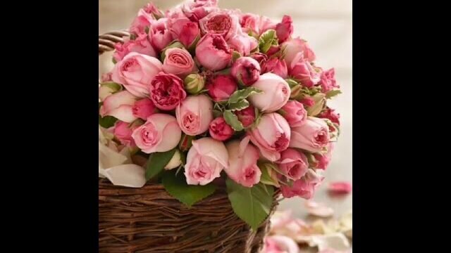 Кадр из видео с песней-переделкой «Исчезли солнечные дни» (Валерий Леонтьев) на день рождения бабушке