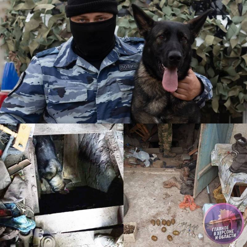    Мариупольская канализация и Porsche Cayenne под Калининградом: обнаружены очередные замаскированные оружейные схроны