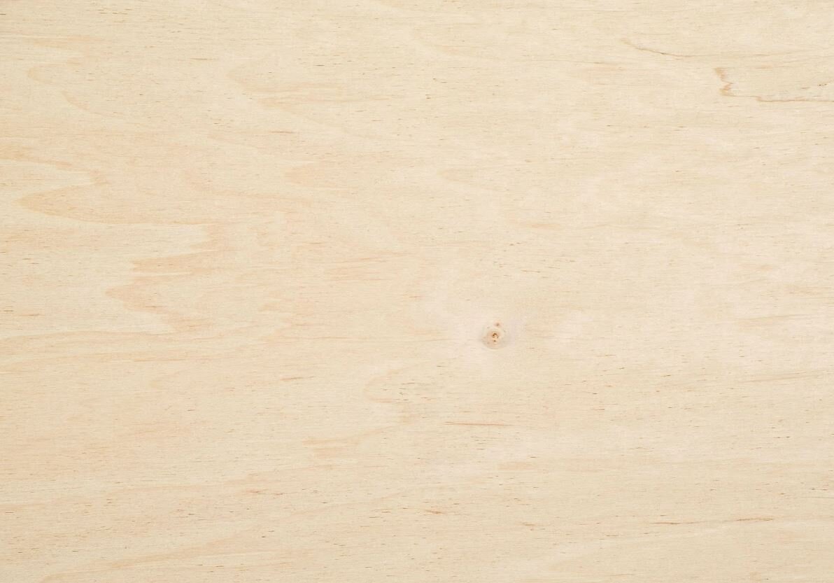 текстура березы