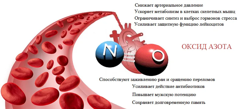 Оксид азота (II)