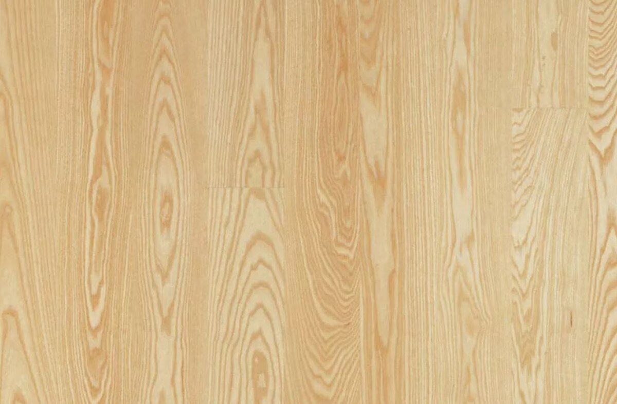 текстура ясеня