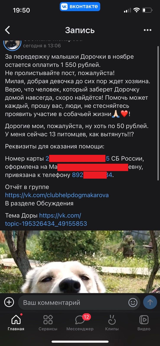 Публикация одного волонтера с попыткой пристроить очередную бездомную беспородную взрослую собаку из 13 имеющихся на передержке 