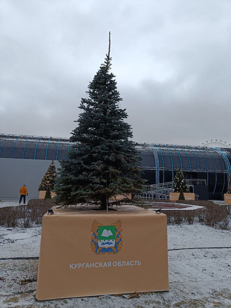    Курганцы не успели украсить свою елку на международной выставке на ВДНХ