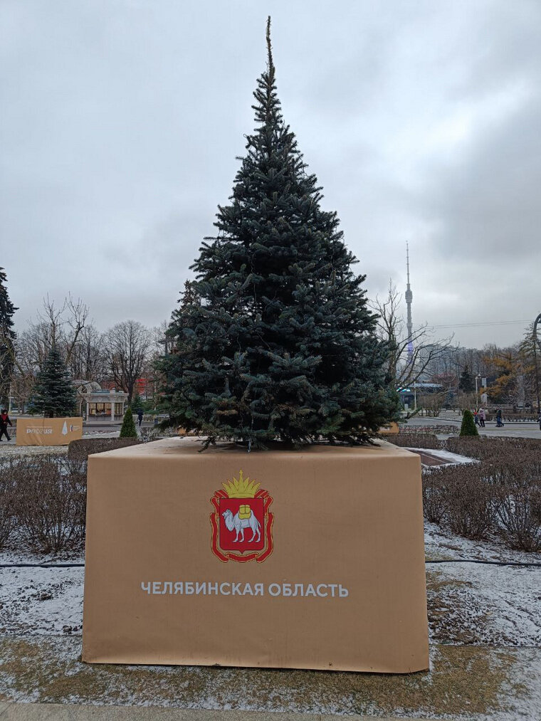    Челябинская елка на выставке-форме «Россия»