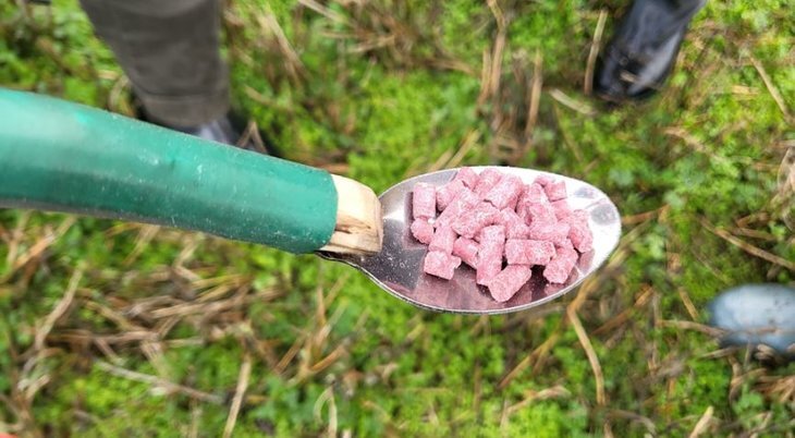     Специалисты против множащихся полевок и хомяков на краснодарских полях: рецепты борьбы
